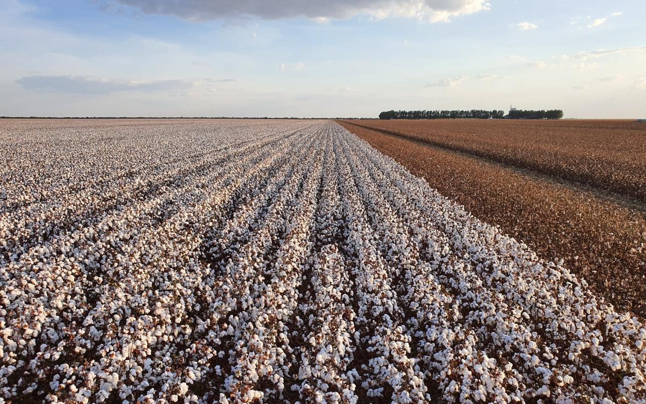 Imagem Fale Conosco Austera