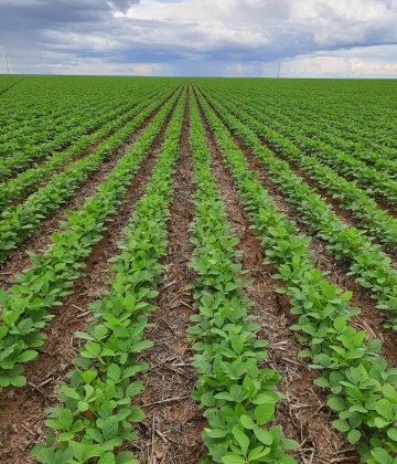 WhatsApp Image 2022-07-25 at 16.00.27