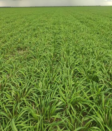 WhatsApp Image 2022-07-25 at 16.01.07